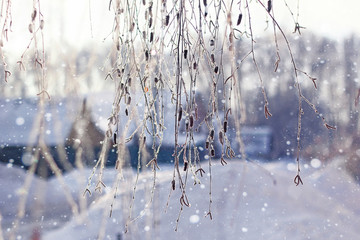 Beautiful winter landscape with trees in frost. Background mode, soft focus