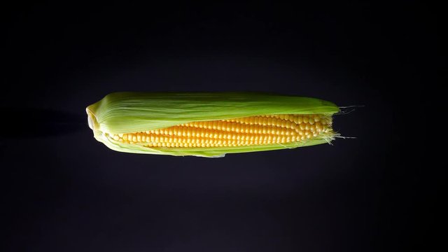 Illustration of horizontally spinning corn on black background.