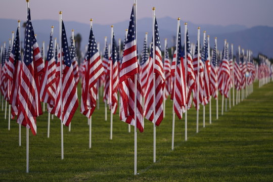 Patriotic flag