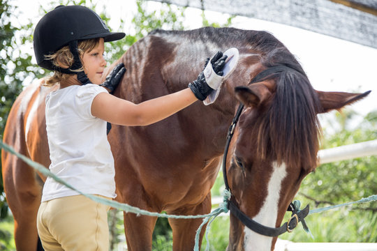 Young girl taking care of her horse at the farm