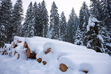 Woodpile of freshly harvested logs under deep powder snow masses in winter. Trunks of trees cut and stacked in a coniferous forest in Steiermark, Austria.