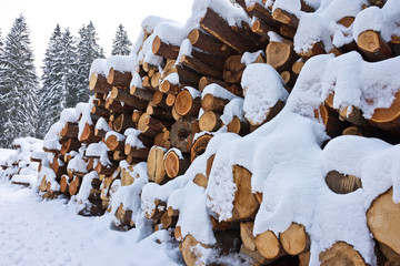 Woodpile of freshly harvested logs under deep powder snow masses in winter. Trunks of trees cut and stacked in a coniferous forest in Steiermark, Austria.