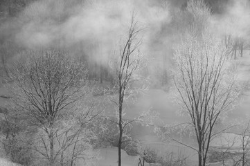 Ice covered trees on a cold Vermont morning, Stowe, Vermont, USA