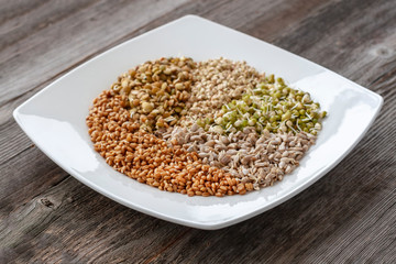 A set of different sprouted seeds for healthy eating on a white plate. Sprouted seeds: lentils, wheat, sunflower seeds, Mung and buckwheat.