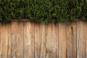 wooden texture;