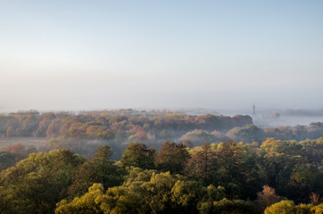 Fog over a plain covered with forest in the early morning