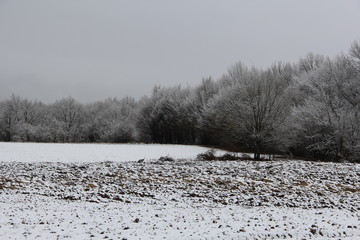 Walking through nature in winter