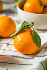 Raw Organic Mandarin Oranges