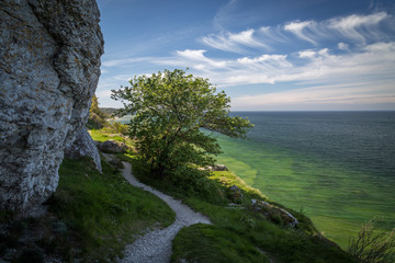 Fototapeta na wymiar Path along the limestone cliffs above the crystal clear water of the west coast of Gotland, Sweden.