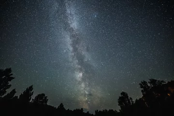 Foto auf Acrylglas Scenic starry milky way in dark night forest © ilyaska