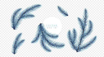 Realistic blue Christmas tree branches isolated on transparent background, can be used for decoration of advertising banners, flyers and christmas postcards. Vector illustration