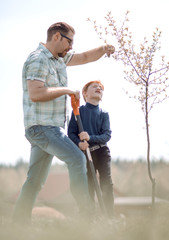 little boy helps his father to plant a tree.