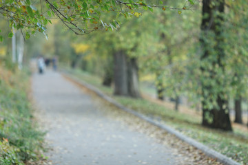 Blurred city park background on autumn day