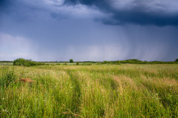 Storm clouds over the green field, Rain summer clouds.