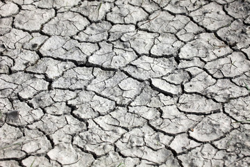 Close up of cracked ground in the desert