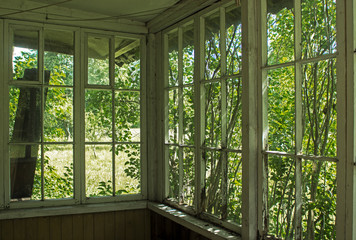 Sunny morning, looking out the window