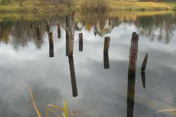 reflection of old piles in the lake