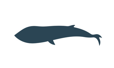 Whale silhouette. Isolated whale on white background