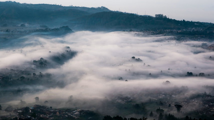 foggy morning