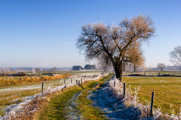 Słoneczny poranek z przymrozkiem i szronem, Podlasie, Polska © podlaski49