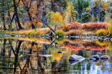 Yosemite National Park detail