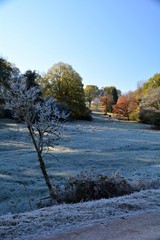frostige Landschaft