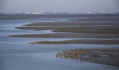 Dangast Küste