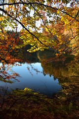 Obraz premium Herbst am See