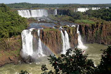 Fototapeta premium Iguazú-Wasserfälle