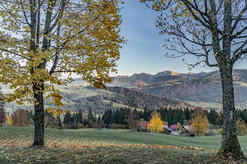 autumnal atmosphere in the Allgaeu mountains near Oberstaufen with Nagelfluh mountain chain in the...