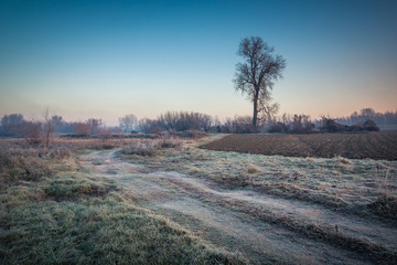 Landscape with road on a frosty morning