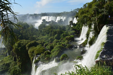 Chutes d'Iguazu Argentine - Iguazu Falls Argentina