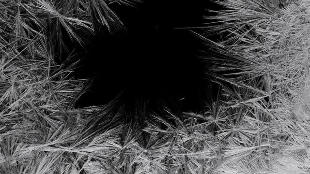 Animation winter pattern on a black background HD