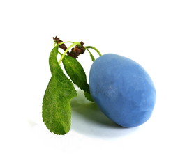 plums isolated on the white background