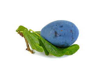 plums isolated on the white background
