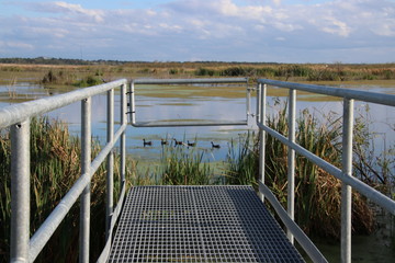 Obraz premium Perspective photography metal bridge, dock or pier walkway leading out over blue water lake, pond or river with blue sky horizon.