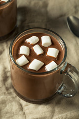 Fototapeta na wymiar Sweet Homemade Chocolate Hot Cocoa