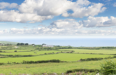 Fototapeta na wymiar Idillic landscape with sheep, lambs, ram on a perfect juicy green grass fields and hills near ocean, Cornwall, England, UK