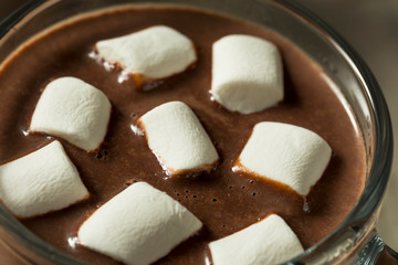 Sweet Homemade Chocolate Hot Cocoa