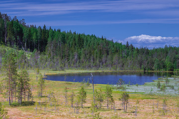Obraz premium lake in the mountains, landscape, Khibiny mountains, Murmansk region in Russia, kola peninsula. summertime