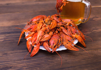 finished red crayfish on a wooden background with a mug of light beer