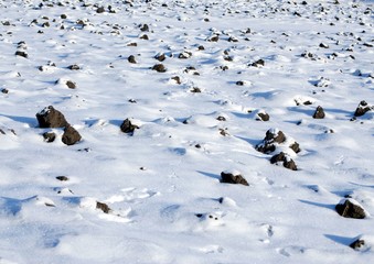 Winter arable land under a snowy white fur coat, plowed land