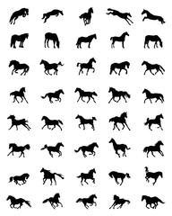 Black silhouettes of horses on a white background