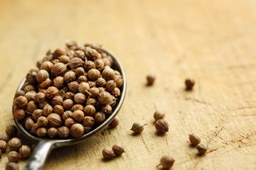 Dry coriander seeds in metal spoon on a wooden table, closeup