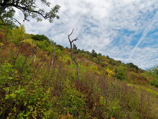 Obraz premium Muschelkalkfelsen und Naturschutzgebiet Hammelberg bei Hammelburg, Landkreis Bad Kissingen, Unterfranken,Franken, Bayern, Deutschland
