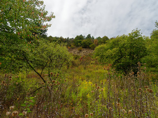 Muschelkalkfelsen und Naturschutzgebiet Hammelberg bei Hammelburg,  Landkreis Bad Kissingen,  Unterfranken,Franken, Bayern, Deutschland