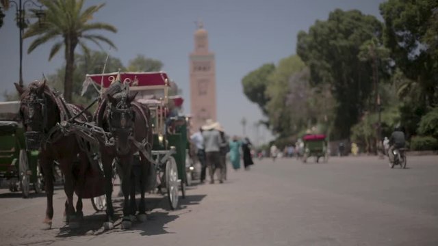 A carriage in Marrakech with Al koutoubia mosque