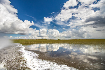 Everglades