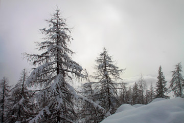 Fototapeta na wymiar Winter Dolomites