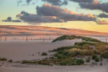 Dunes in the setting sun